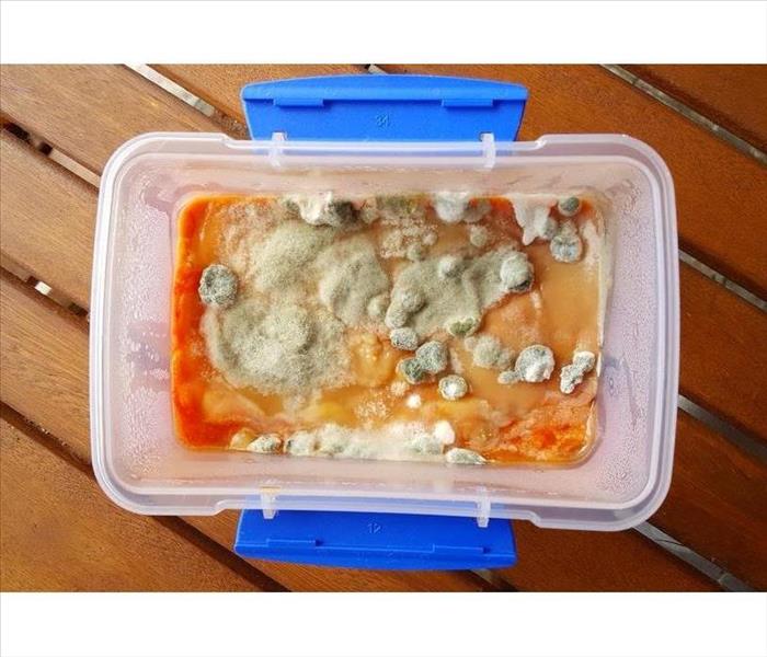 Food in a plastic container with mold